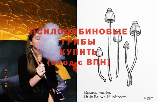 бутират Зеленодольск